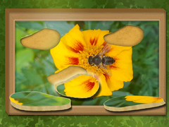 게임 Find & Restore: Hidden Puzzle