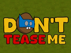 게임 Dont Tease Me