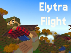 게임 Elytra Flight
