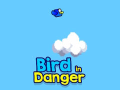 게임 Bird in Danger