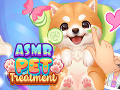 게임 ASMR Pet Treatment