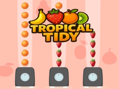 게임 Tropical Tidy