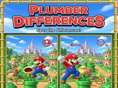 게임 Plumber Differences
