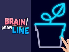 게임 Brain Draw Line