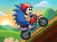 게임 Blue Hedgehog Ride