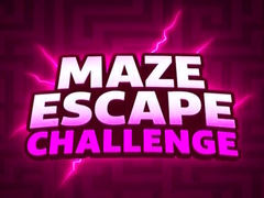 게임 Maze Escape Challenge