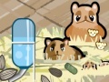 게임 Hamster Nest