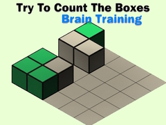 게임 Try To Count The Boxes Brain Training