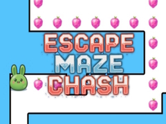 게임 Escape Maze Chush