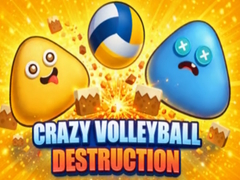 게임 Crazy Volleyball Destruction