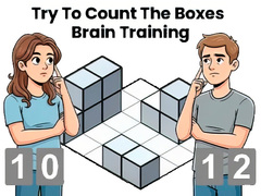 게임 Try To Count The Boxes Brain Training