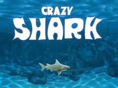 게임 Crazy Shark