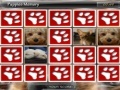 게임 Puppies Memory