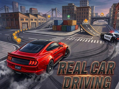게임 Real Car Driving