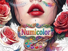 게임 Numicolor