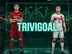 게임 TriviGoal