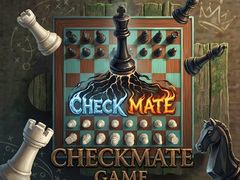 게임 Checkmate Game