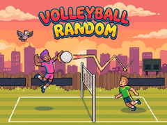 게임 Volleyball Random