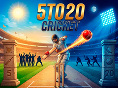 게임 5TO20 Cricket