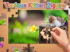 게임 Curious Kitten Jigsaw
