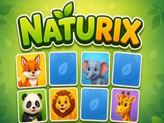 게임 Naturix