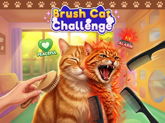 게임 Brush Cat Challenge 