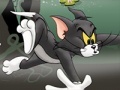 게임 Tom And Jerry Chase In Marsh