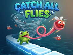 게임 Catch All Flies