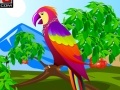 게임 Decor the Cute Parrot