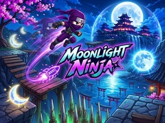 게임 Moonlight Ninja