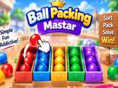 게임 Packing Master Puzzle