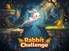 게임 Rabbit Challenge
