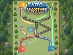 게임 Switch Master