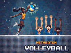 게임 Netherton Volleyball