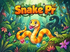 게임 Snake Pr