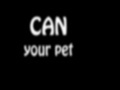 게임 Can Your Pet