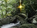 게임 Rambo: The Fight Continues