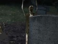 게임 Even Dead Men Die