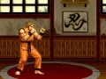 게임 Art of Fighting