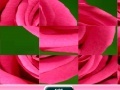게임 Rose Sliding Puzzle