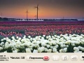 게임 Windflowers Find Numbers