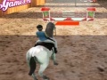 게임 Horse Jumping 3D