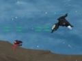 게임 Roam and protect