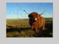 게임 Highland Cow Jigsaw
