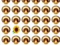 게임 Thanksgiving Day Matching Game