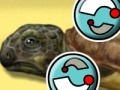 게임 Turtle Care