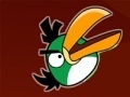 게임 Crazy Angry Birds