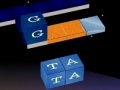 게임 WordKnot