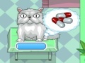 게임 Super Veterinarian