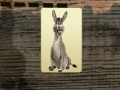 게임 Think donkey